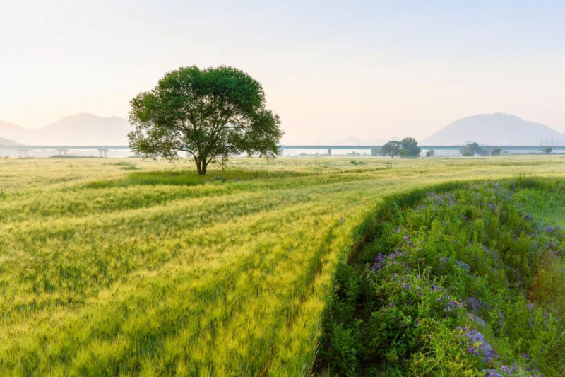 「ソウルより最高」初夏の慶尚道（キョンサンド）旅が想像以上の満足度！