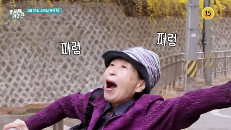 87歳チョン・ウォンジュ、股関節手術に続き認知症リスク「子どもに負担かも」と不安（プラ）