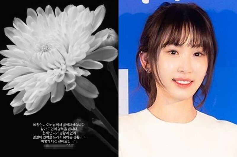 カン・イェウォン、訃報を伝える…「30日に死去」