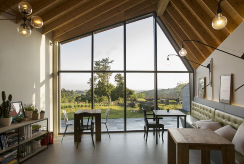 愛犬が散歩嫌いを克服？一緒に行きたい「愛犬同伴お出かけスポット」特集