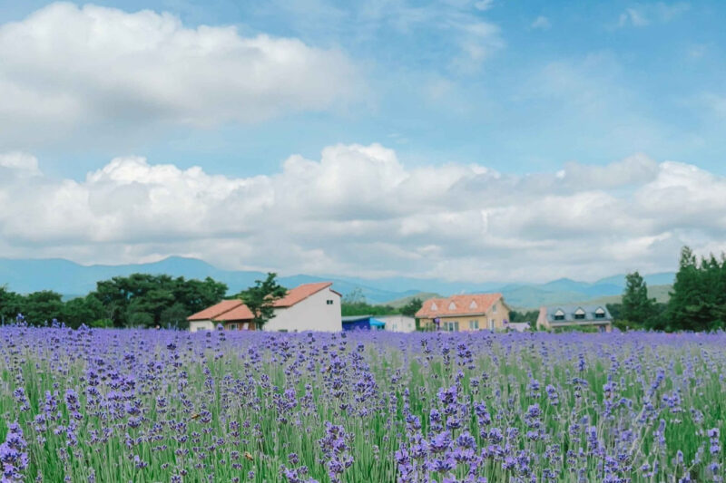 春が終わればすぐ夏？初夏にこそ行きたい国内旅行スポットまとめ