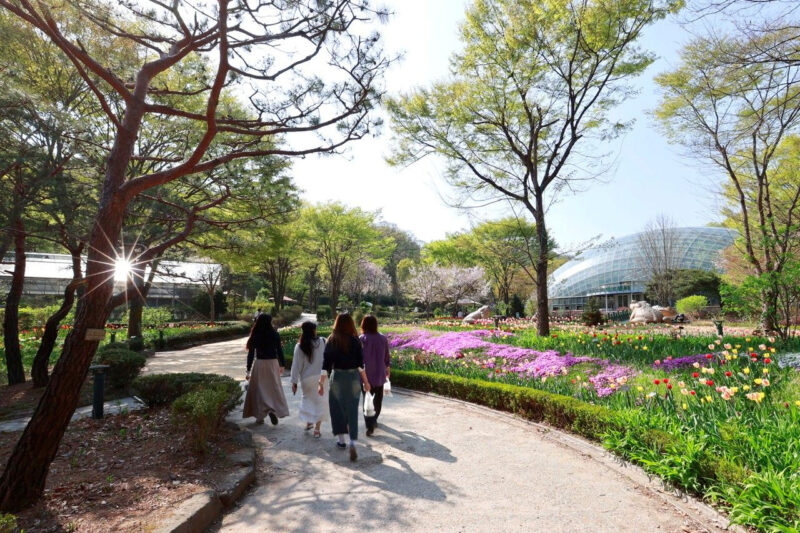 山林庁もお墨付き！今行くべき「城南市」の絶景スポット