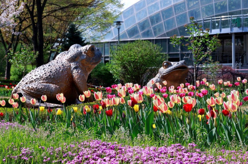 山林庁もお墨付き！今行くべき「城南市」の絶景スポット