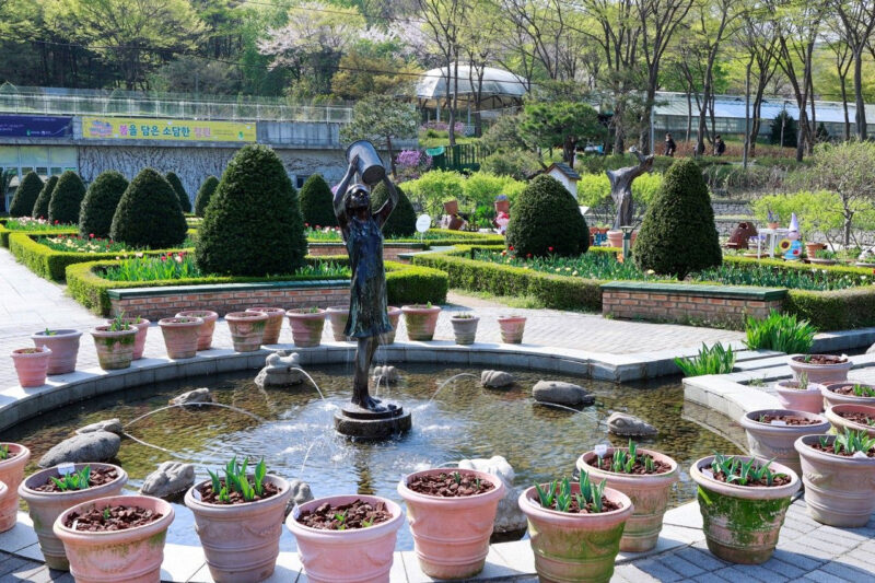 山林庁もお墨付き！今行くべき「城南市」の絶景スポット