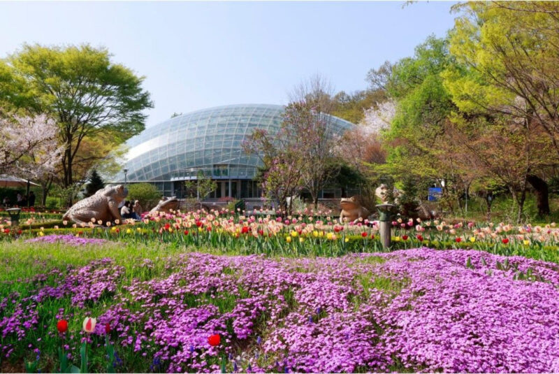 山林庁もお墨付き！今行くべき「城南市」の絶景スポット