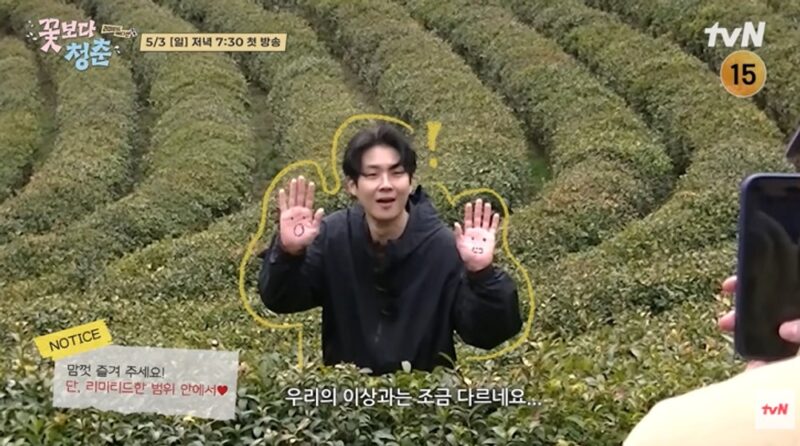 시청률 11.1% 멤버 재결집…8년 만의 새 시리즈로 화제 뜨거운 한국 예능 (‘꽃보다 청춘’)
