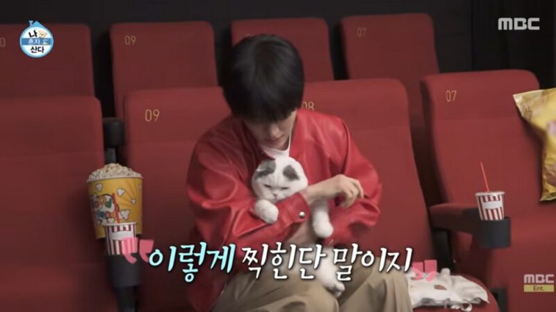 安宰賢、13歳の老猫「アンジュ」と初スタジオ撮影…「色々な思いが込み上げて」涙（「ナ・ホンジャ・サンダ」）