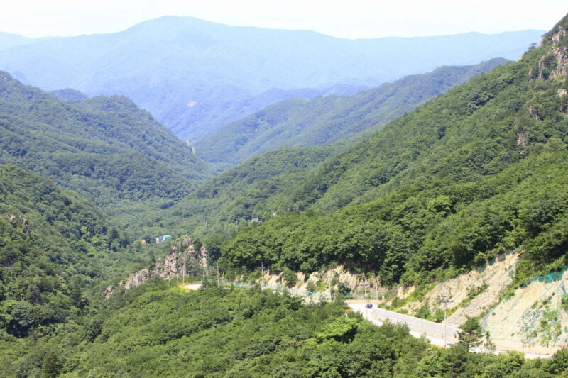 「バイク好き必見」全国ツーリングおすすめスポット4選