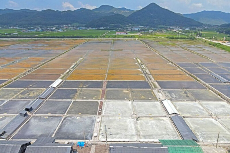 「えっ、こんな作り方なの？」東京ドーム約13個分！韓国最大級の塩田体験が凄すぎる