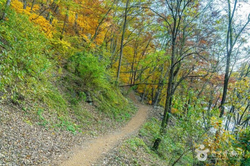 月留亭の風情と白華山の気を感じる、3時間半の極上散策路