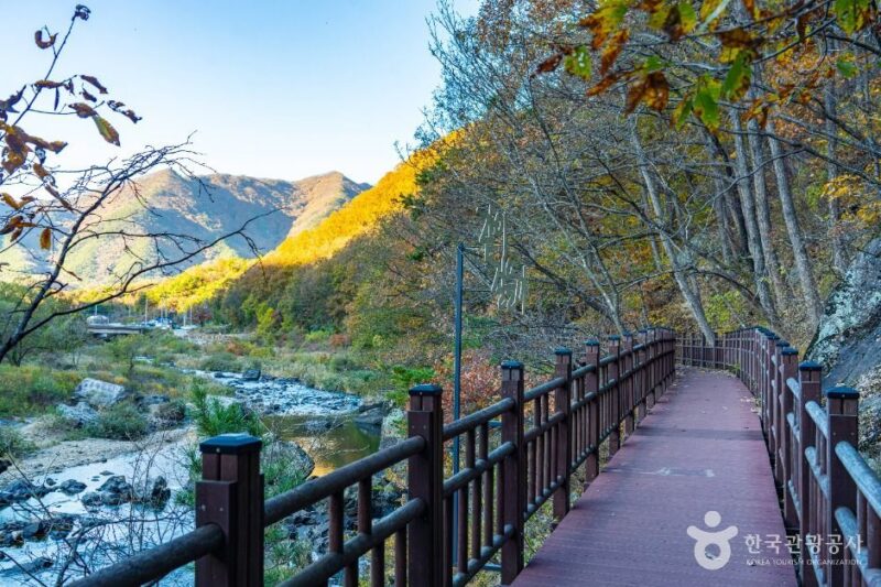 月留亭の風情と白華山の気を感じる、3時間半の極上散策路