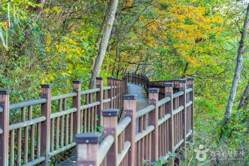 月留亭の風情と白華山の気を感じる、3時間半の極上散策路