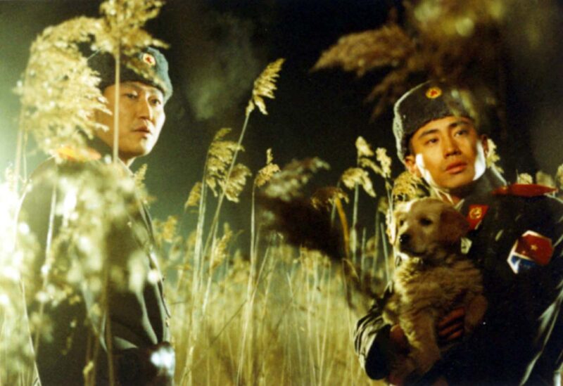 「19回見てもまた見たくなる」9週連続1位、公開から20年以上愛され続ける韓国映画の金字塔
