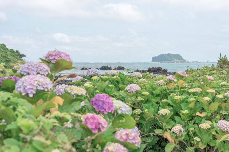 夏休み前に先取り！6月に行くべき国内旅行先おすすめ5選