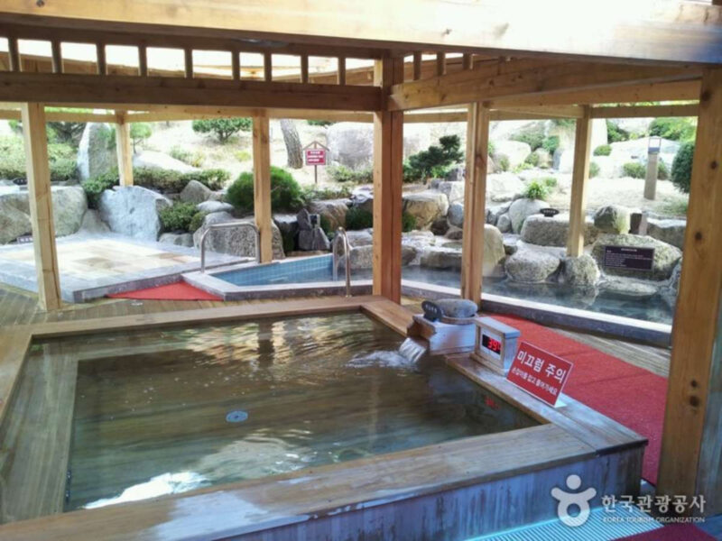 「今日はカーネーション、週末は旅行へ」笑顔あふれる束草（ソクチョ）おすすめ観光コース