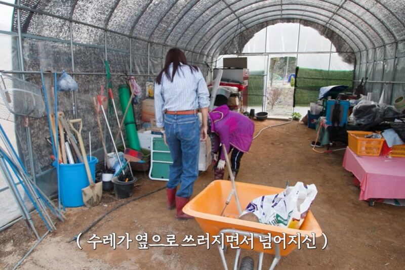 한혜진、我張って撮影中止…「大きな厄払い」