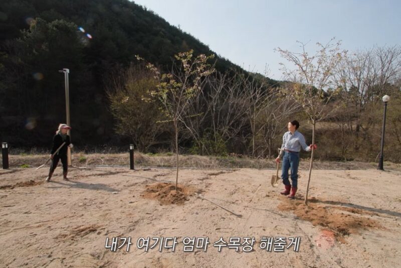 한혜진、我張って撮影中止…「大きな厄払い」
