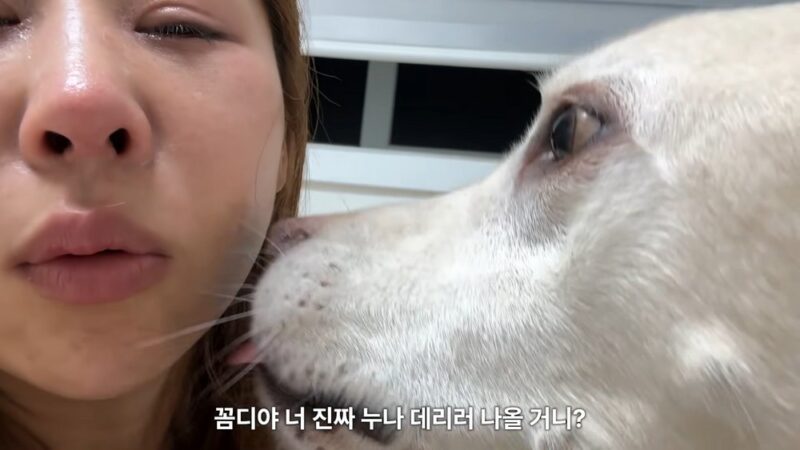 パク・セミ、「生きる日がもう少ない」…愛犬との別れを考え号泣
