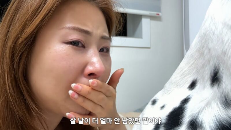 パク・セミ、「生きる日がもう少ない」…愛犬との別れを考え号泣