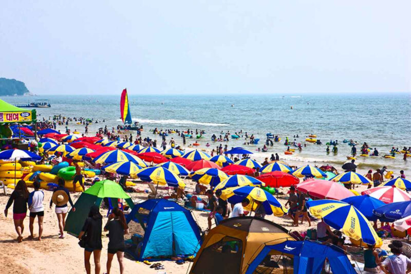 ソウル近郊在住の方必見！日帰りで行けるおすすめ海水浴場スポット