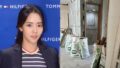イ・ボムスと離婚のイ・ユンジン、バリから韓国へ…工事現場で「引っこ抜いてまた引っこ抜く」