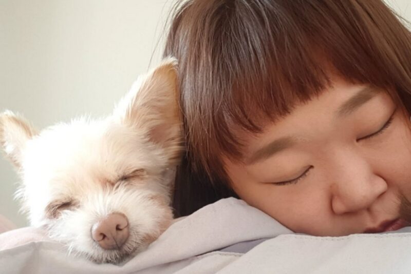**キム・ミンギ♥ホン・ユンファ、16年ぶりの別れ…愛犬との写真に涙「必ずまた会おう」**