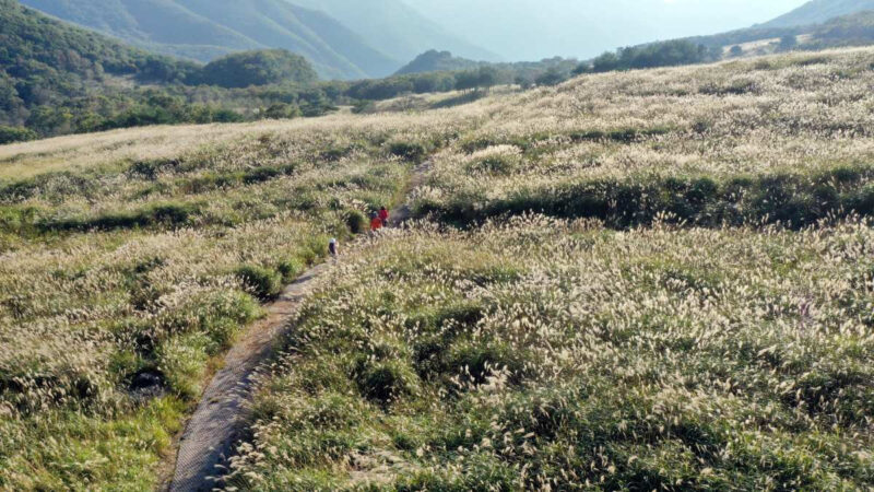 標高1189mの山頂に広大な絶景平野？パワーを感じる驚きの登山コース