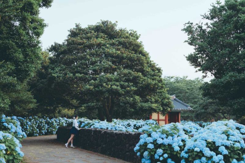 雨でも楽しめる！6月に訪れたい絶景の花の名所5選
