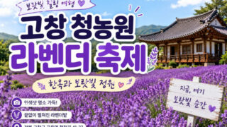 わずか500円で4000坪の絶景！韓国・高敞のラベンダー畑が話題沸騰中