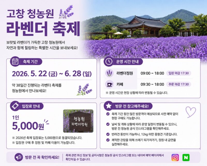 わずか500円で4000坪の絶景！韓国・高敞のラベンダー畑が話題沸騰中