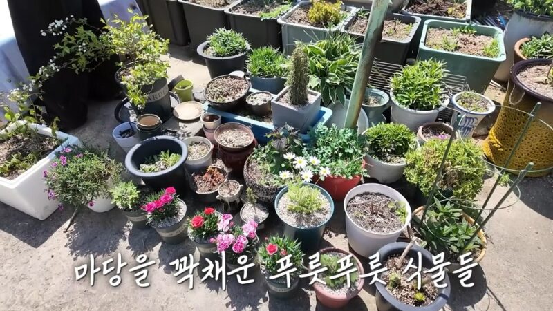 김영철, 40年ぶりに全面改装した実家を公開…「海の景色が広がる家」