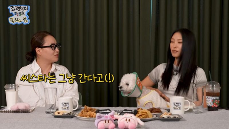 チョ・ヒョナ、SISTARの先輩後輩の礼儀を暴露「音楽番組で挨拶しない」