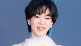 女優ハン・イェリ、まな板の上の鯉に？「正面突破」を選択