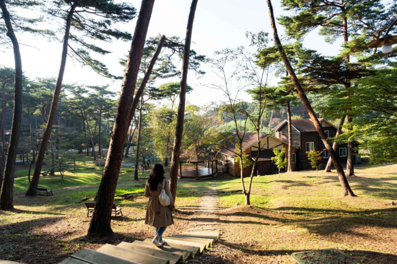 「夏でも羽織りもの必須」涼しく過ごせる韓国の避暑地は？