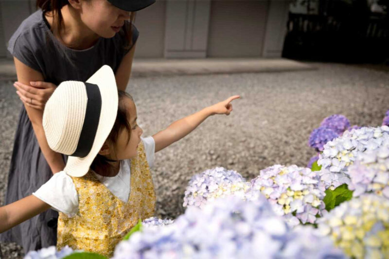 入場料無料！6月限定、ソウル中心部に出現した絶景「花畑×レーザーショー」が話題