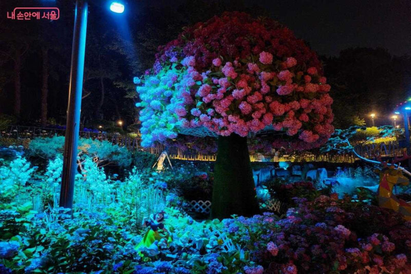入場料無料！6月限定、ソウル中心部に出現した絶景「花畑×レーザーショー」が話題