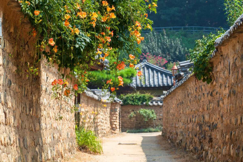 朝鮮時代、庶民は立ち入り禁止？貴族だけが愛した「夏の絶景スポット」