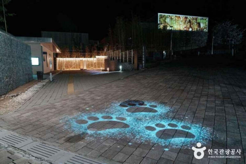「金泉市、今度は本気だ」58億ウォン投入の夜間メディアアート名所が誕生