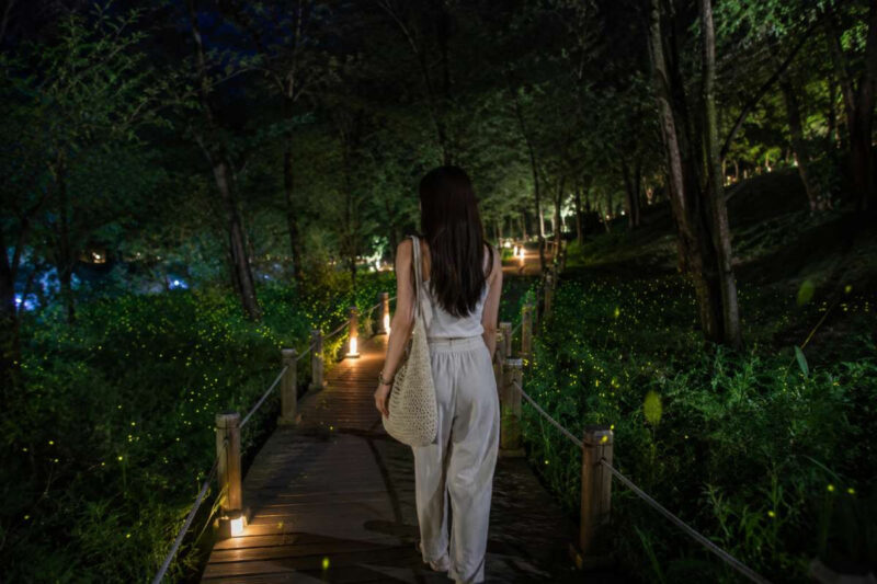 首都圏でホタル観賞?年に12回だけの幻想的な夜祭り