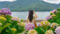「入場料0円で欧州級の絶景」海と紫陽花を同時に楽しむ最高の癒やしスポット