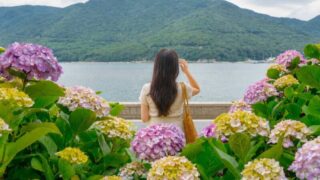 「入場料0円で欧州級の絶景」海と紫陽花を同時に楽しむ最高の癒やしスポット