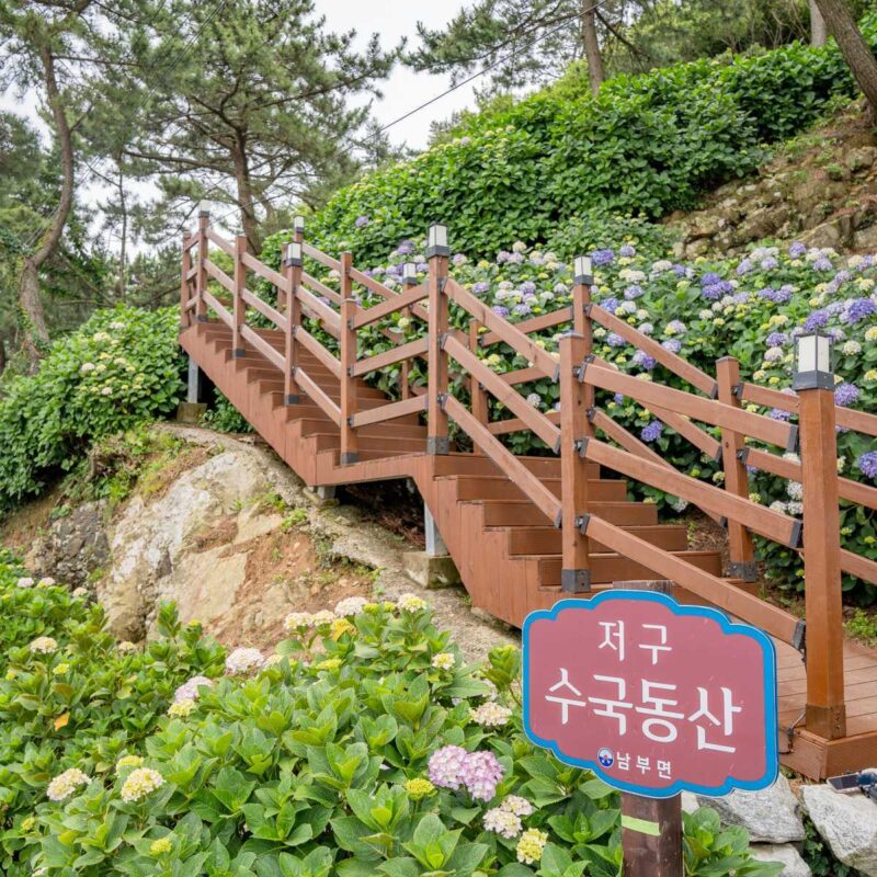 「入場料0円で欧州級の絶景」海と紫陽花を同時に楽しむ最高の癒やしスポット