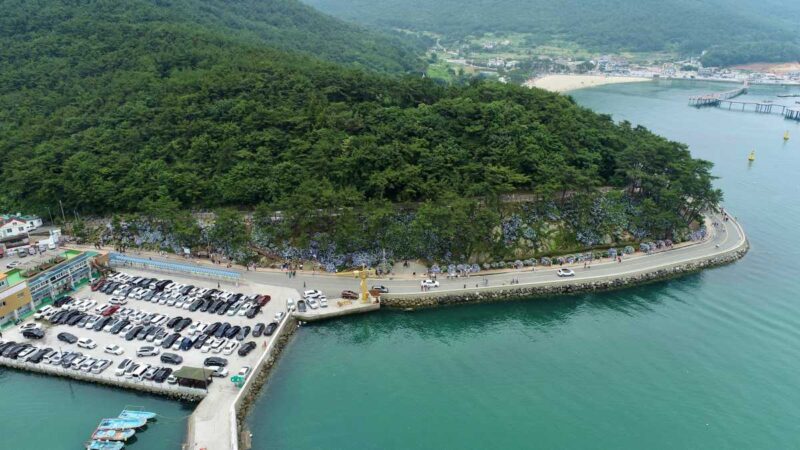 「入場料0円で欧州級の絶景」海と紫陽花を同時に楽しむ最高の癒やしスポット