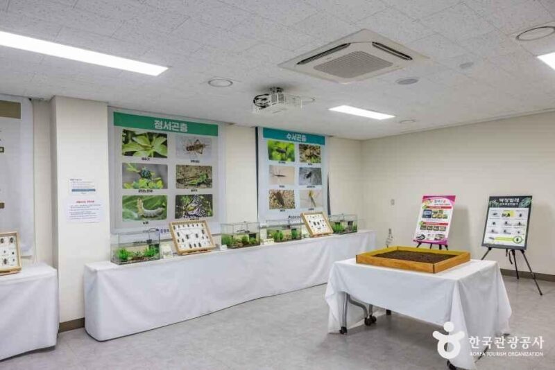「淡水魚106種が無料で見放題」来場者60万人突破、忠清北道の人気観光スポットが話題