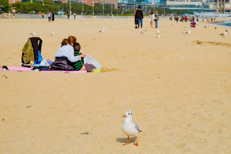 「エアコン不要」で不満ゼロ！猛暑を忘れる最高の避暑地・水遊びスポット
