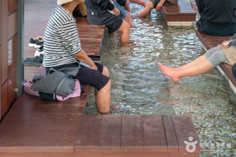 「エアコン不要」で不満ゼロ！猛暑を忘れる最高の避暑地・水遊びスポット