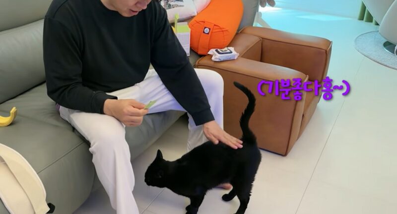 「キム・ダエ♥」パク・スホン、愛犬タホンの虐待疑惑に言及「冗談で済ませる話じゃない」