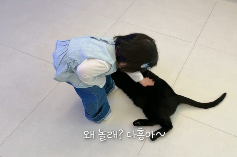 「キム・ダエ♥」パク・スホン、愛犬タホンの虐待疑惑に言及「冗談で済ませる話じゃない」