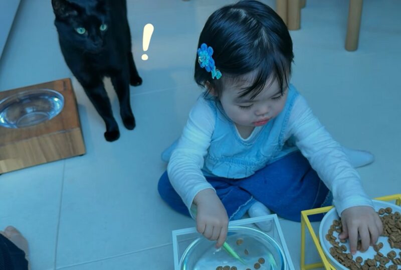 「キム・ダエ♥」パク・スホン、愛犬タホンの虐待疑惑に言及「冗談で済ませる話じゃない」