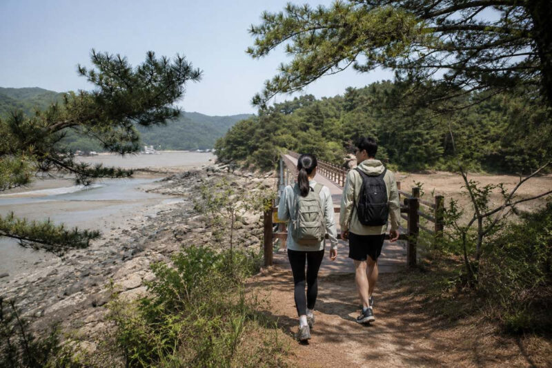 「船で1時間」都心から日帰りで行ける絶景トレッキング島が話題に